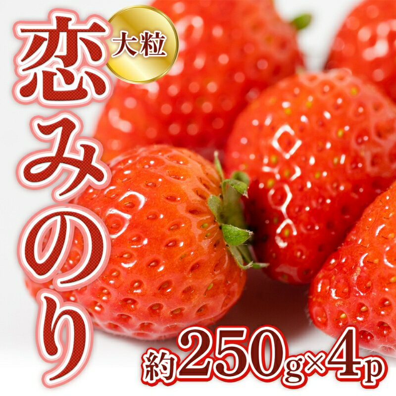 【ふるさと納税】いちご 先行予約 約250g×4P 3Lサイズ 錦町産 恋みのり 苺 イチゴ デザート フルーツ 2023年12月上旬より順次発送 配送不可:離島　果物類 いちご 苺 イチゴ　お届け：2023年12月1日～2024年2月28日のサムネイル