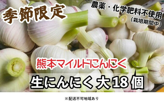 【ふるさと納税】にんにく 2024年 発送 大玉 18個 錦町産 農薬・化学肥料 栽培期間中不使用！ 桑原農園 熊本 マイルド生にんにく 2Lサイズ 7cm以上 配送不可：離島　【野菜 根菜 にんにく 生ニンニク 大玉 自家種 国産 ホイル焼き 無農薬】　お届け：2024年4月25日～5月31日