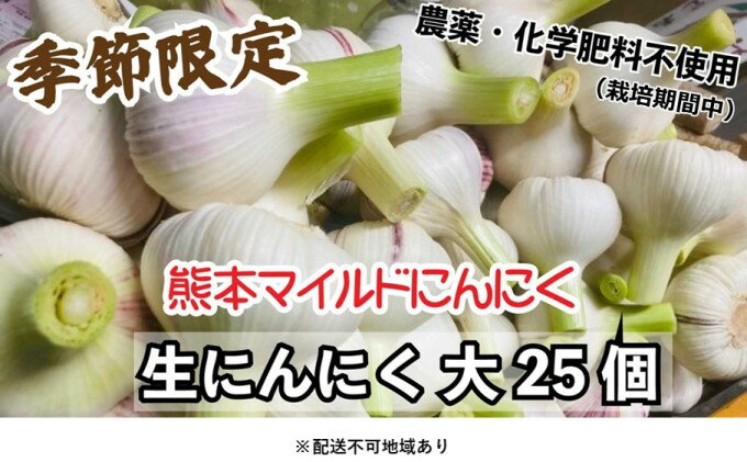 【ふるさと納税】にんにく 2024年 発送 大玉 25個 錦町産 農薬・化学肥料 栽培期間中不使用！ 桑原農園 熊本 マイルド生にんにく 2Lサイズ 7cm以上 配送不可：離島　【野菜 根菜 にんにく 生ニンニク 大玉 自家種 国産 ホイル焼き 無農薬】　お届け：2024年4月25日～5月31日
