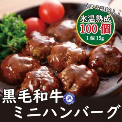 【ふるさと納税】氷温（R）熟成　黒毛和牛 ミニハンバーグ 100個　【 お肉 ハンバーグ 熟成 うま味 黒毛和牛 ミニハンバーグ 子供 おかず お弁当 アレンジ 冷凍 】