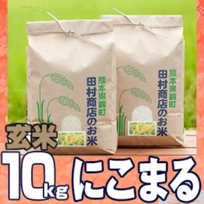 【ふるさと納税】米 10kg 令和5年 にこまる 5kg×2 玄米 こめ　【朝倉市】　お届け：2023年11月～2024年10月末