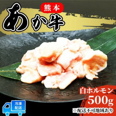 あか牛 赤牛 熊本 和牛 肥後 赤牛 白ホルモン 500g (250g×2パック) 牛肉 肉 お肉 配送不可:離島 [ 牛ホルモン 国産 日本産 熊本県産 柔らかい 食感 ぷりぷり ホルモン焼き もつ鍋 もつ煮込 鍋料理 冬 つまみ ]