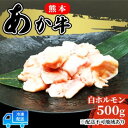 あか牛 赤牛 熊本 和牛 肥後 赤牛 白ホルモン 500g (250g×2パック) 牛肉 肉 お肉 配送不可:離島　