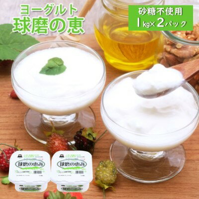 ヨーグルト 無糖 プレーン 球磨の恵ヨーグルト 1kg×2パック 砂糖不使用 乳製品 配送不可:沖縄、離島 発酵食品 朝食 間食 新鮮 生乳 とろ〜り もっちり 酸味がない 2個セット 2キロ 大容量