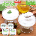 【ふるさと納税】定期便3回 球磨の恵ヨーグルト 1kg×4パック(砂糖不使用)【配送不可:沖縄、離島】 乳製品 発酵食品 朝食 間食 新鮮 生乳 とろ~り もっちり 酸味がない 無糖 4個セット 3回お届け 大容量