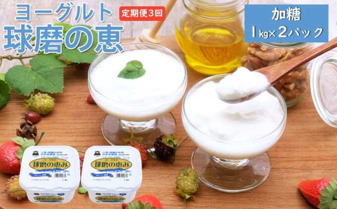 【ふるさと納税】定期便3回 球磨の恵ヨーグルト 1kg×2パック【配送不可：沖縄、離島】 乳製品 発酵食品 朝食 間食 新鮮 生乳 とろ～り もっちり 酸味がない 加糖 2個セット 3回お届け 大容量