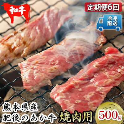 11位! 口コミ数「0件」評価「0」定期便6回 肥後のあか牛 焼肉用 約500g　【定期便・ お肉 牛肉 バーベキュー 家族 すき焼き パーティー お家時間 】