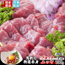 【ふるさと納税】馬刺し 特選 赤身 1kg ブロック ユッケ 100g セット 熊本直送 国内肥育 離島 馬刺 馬肉 肉 お肉 冷凍 国産 又は カナダ産 配送不可：離島　【 錦町 】