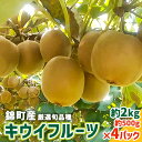 キウイ 先行予約 錦町産 旬のキウイフルーツ 約2kg 約500g×4パック　　お届け：2024年9月末～11月中旬