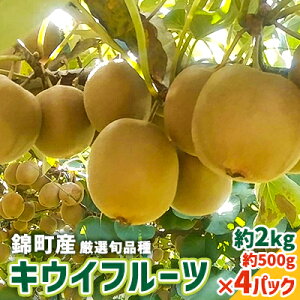 【ふるさと納税】キウイ 先行予約 錦町産 旬のキウイフルーツ 約2kg 約500g×4パック　【 果物 国産 紅美人 酸味が少ない アップルキウイ 甘い 東京ゴールド ほどよい酸味 】　お届け：2023年9月末〜11月中旬