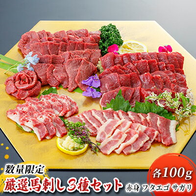 馬刺し 赤身 フタエゴ サガリ 3種 計300g 各100g [ 馬肉 馬刺し食べ比べ 人気部位3種 旨味 馬ひも コリコリ食感 馬刺し3種 つまみ お酒のあて お酒のお供 一品料理 ]