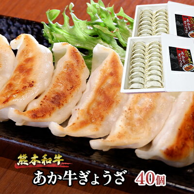 ぎょうざ 熊本 あか牛 餃子 セット 計40個(20個入り×2箱)和牛 肉 お肉 牛肉 加工品 ギョウザ 赤牛 配送不可:離島 熊本県産野菜使用 濃厚な肉汁 おかず つまみ ビールのお供 中華