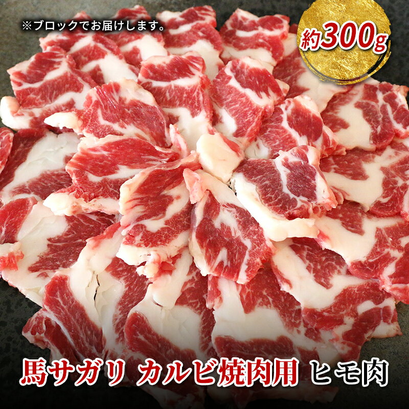 【ふるさと納税】焼肉用 馬肉 サガリ カルビ ヒモ肉 約300g 焼き肉 やきにく ヤキニク BBQ バーベキュ..