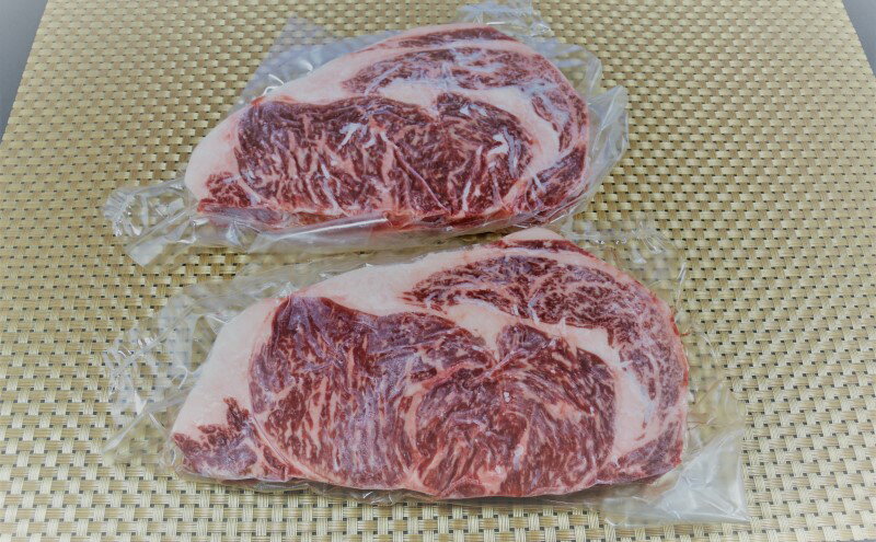 【ふるさと納税】ステーキ ロース GI認証 くまもと あか牛 500g 赤牛 牛肉 肉 お肉 にく ニク 熊本 ブランド 和牛 BBQ バーベキュー