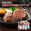 ハンバーグ セット 4個 阿蘇 あか牛 牛肉 100% 2p×2個 肉 お肉 にく 赤牛 配送不可：離島　