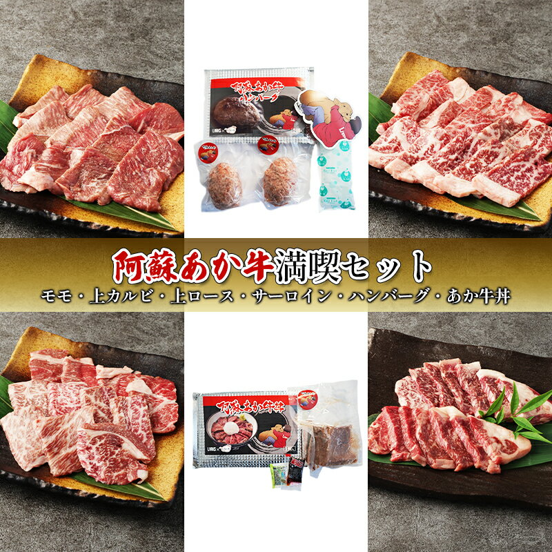 焼肉 セット 食べ比べ カルビ ロース ハンバーグ 阿蘇 あか牛 満喫セット 赤牛 焼き肉 牛肉 肉 お肉 配送不可:離島