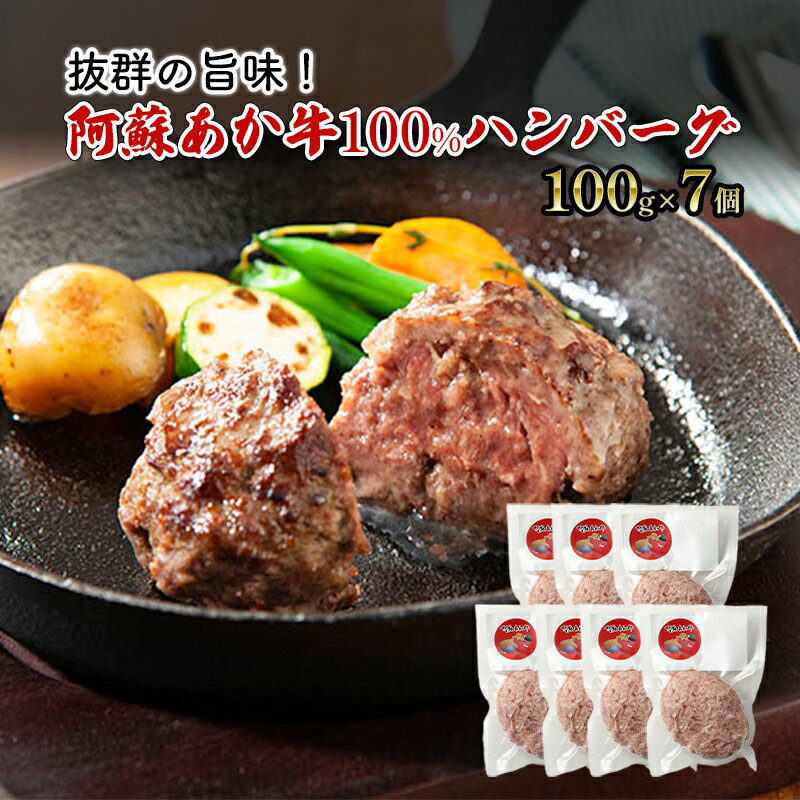 ハンバーグ 阿蘇 あか牛 100% 100g×7個 肉 牛肉 お肉 にく 配送不可:離島