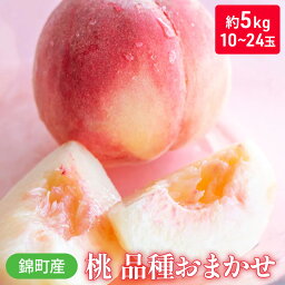 【ふるさと納税】桃 品種 おまかせ 約5kg 10～24玉入り 錦町産 もも モモ 果物 くだもの フルーツ デザート ※配送不可：離島　【0】　お届け：2024年6月1日～7月30日まで