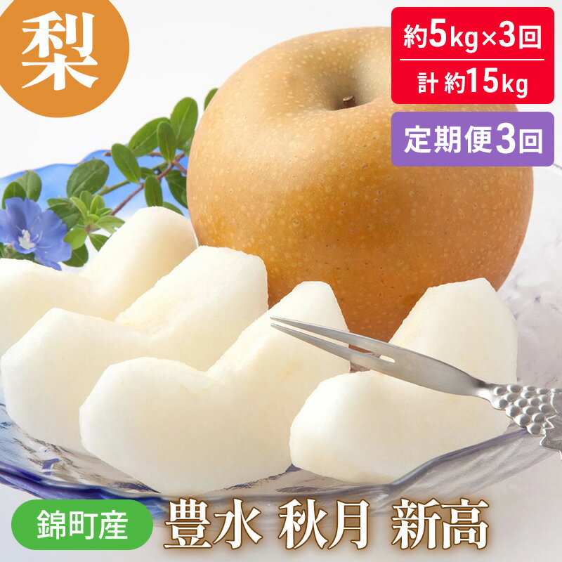 定期便 3回 梨 約5kg×3回 計約15kg 豊水 秋月 新高 錦町産 ナシ 果物 くだもの なし デザート フルーツ お楽しみ ※配送不可:離島 お届け:2025年8月上旬〜10月上旬