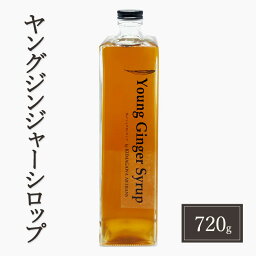 【ふるさと納税】生姜 シロップ 720g ヤングジンジャーシロップ 加工品 甘味料　【錦町】