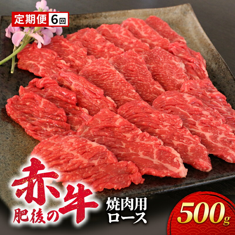 7位! 口コミ数「0件」評価「0」定期便 6ヶ月 あか牛 焼肉 ロース 500g 肥後の赤牛 肉 お肉 牛肉 牛 焼き肉 焼肉用 6回 お楽しみ　【定期便・錦町】