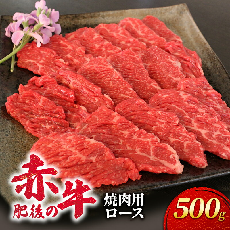 あか牛 焼肉 ロース 500g 肥後の赤牛 肉 お肉 牛肉 牛 焼き肉 焼肉用 [錦町]