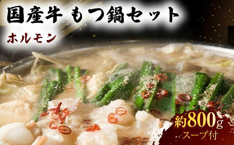 【ふるさと納税】国産 牛 もつ鍋 セット 約800g モツ鍋 鍋セット 肉 お肉 牛肉 ※配送不可：離島