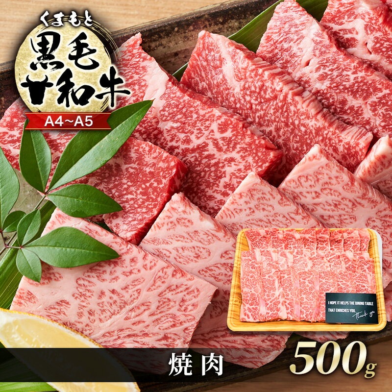 牛肉 A4〜A5 くまもと 黒毛和牛 焼肉 500g 焼き肉 肉 お肉 ※配送不可:離島