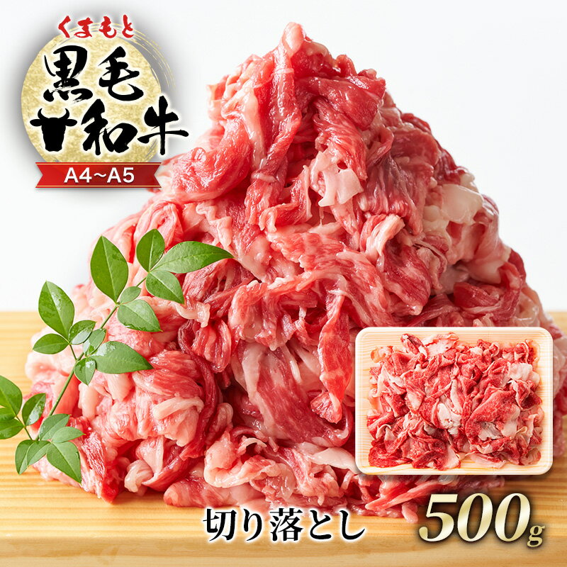 牛肉 A4〜A5 くまもと 黒毛和牛 切り落とし 500g 肉 お肉 ※配送不可:離島