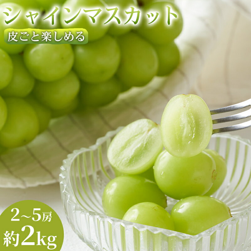 [皮ごと食べれる]熊本県産シャインマスカット 2〜5房(約2kg) 1箱|芳醇な香りと濃厚な甘み シャインマスカット ぶどう フルーツ 高級 甘い ギフト 贈答用 家庭用 お取り寄せ 熊本県 お届け:2026年8月21日〜2026年9月30日