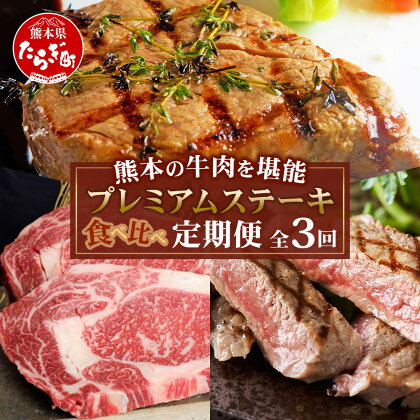 【定期便3回】熊本の牛肉 堪能 「黒毛和牛・あか牛」プレミアム ステーキ 食べ比べ定期便 黒毛和牛サーロイン・あか牛ロース・極上ヒレ＆サーロイン 3ヶ月 A5等級 黒毛和牛 希少 あか牛 牛肉 熊本県 多良木町 定期配送 九州産 熊本県 多良木町 送料無料