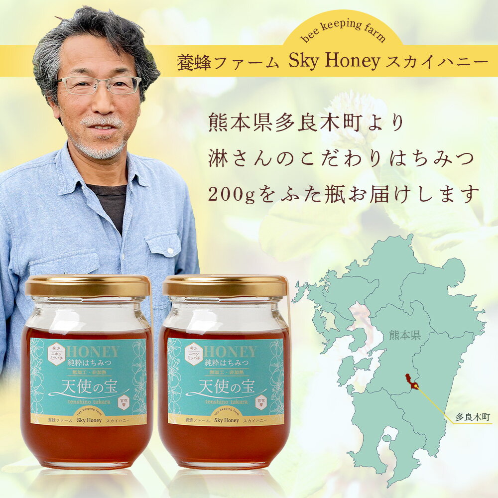 【ふるさと納税】日本みつばち 蜂蜜「天使の宝」2個 セット 希少 ニホンミツバチ 100% はちみつ 高純度 垂れ蜜 ハチミツ ジャム 無添加 はちみつ 無添加 ハチミツ お取り寄せ グルメ 送料無料