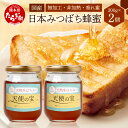 【ふるさと納税】日本みつばち 蜂蜜「天使の宝」2個 セット 希少 ニホンミツバチ 100% はちみつ 高純度 垂れ蜜 ハチミツ ジャム 無添加 はちみつ 無添加...