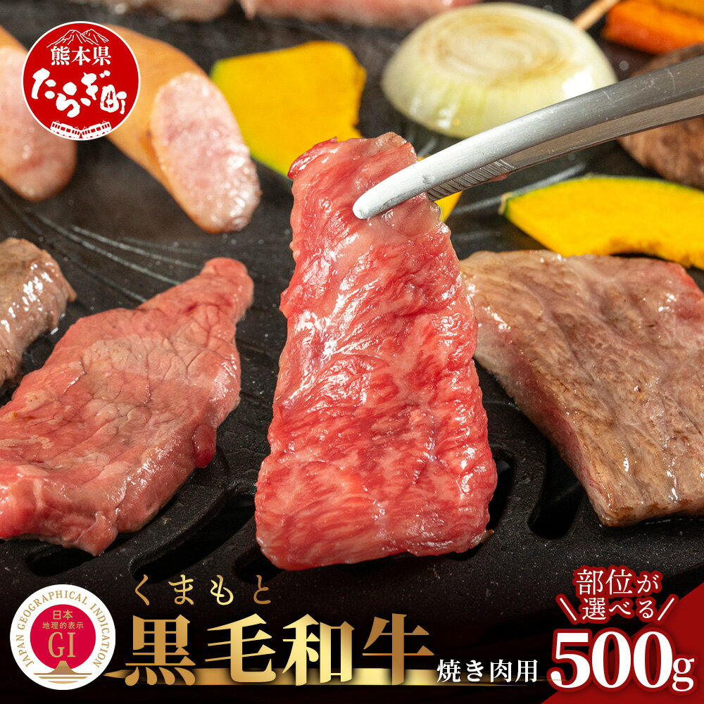 ＼部位を選べる／ G1認証 くまもと黒毛和牛 500g ブランド 牛肉 《上モモ肉 焼肉用》《バラ肉》《切り落とし》 熊本県産 高級 黒毛和牛 和牛 高級 黒毛和牛 和牛 お取り寄せ グルメ 冷凍 熊本県 多良木町 九州産 国産 送料無料 100-0008