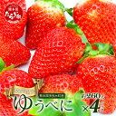 【ふるさと納税】 熊本県産 いちご【ゆうべに】約260g×4パック 2026年1月~発送 坂下農園 産地直送 国産 新鮮 フレッシュ イチゴ 4パック 苺 フルーツ 果物 春 名産 熊本 多良木町 ビタミン 旬 いちご フルーツ 果物 くだもの 果実 熊本県 多良木町 送料無料