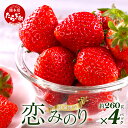 【ふるさと納税】熊本県産 いちご【恋みのり】約260g×4パック 2026年1月~発送 坂下農園 産地直送 国産 新鮮 フレッシュ イチゴ 4パック 苺 フルーツ 果物 春 名産 熊本 多良木町 ビタミン 旬 いちご フルーツ 果物 くだもの 果実 熊本県 多良木町 送料無料