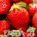 【ふるさと納税】《先行予約》熊本県産 いちご【ひのしずく】約1040g (260g×4) 坂下農園 産地直送 国産 新鮮 フレッシュ イチゴ 4パック 1.04kg 苺 フルーツ 果物 春 名産 熊本 多良木町 ビタミン 旬 いちご フルーツ 果物 くだもの 果実 熊本県 多良木町 送料無料