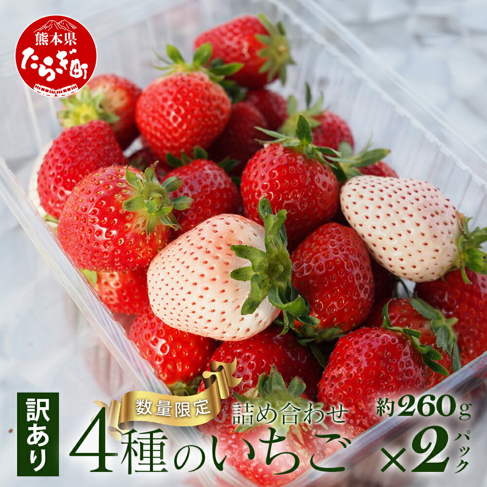 【ふるさと納税】【訳あり】熊本県産 いちご 詰め合わせ 約260g×2パック 103-0009 坂下農園 産地直送 国産 新鮮 フレッシュ イチゴ 苺 フルーツ 果物 春 名産 熊本 多良木町 ビタミン 旬 いちご フルーツ 果物 くだもの 果実 熊本県 多良木町 送料無料