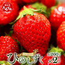 【ふるさと納税】《先行予約》熊本県産 いちご【ひのしずく】約520g(260g×2パック) 坂下農園 産地直送 国産 希少 新鮮 フレッシュ イチゴ 2パック 苺 フルーツ 果物 春 名産 熊本 多良木町 ビタミン 旬 いちご フルーツ 果物 くだもの 果実 熊本県 多良木町 送料無料