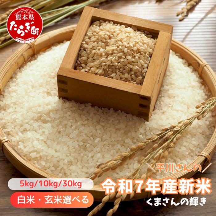 白米/玄米 内容量選べる[新米予約] 令和7年産 くまさんの輝き 5kg / 10kg / 30kg 熊本県 多良木町産 米 精米 玄米 お米 白米 送料無料 〜2025年10月中旬より順次発送予定〜