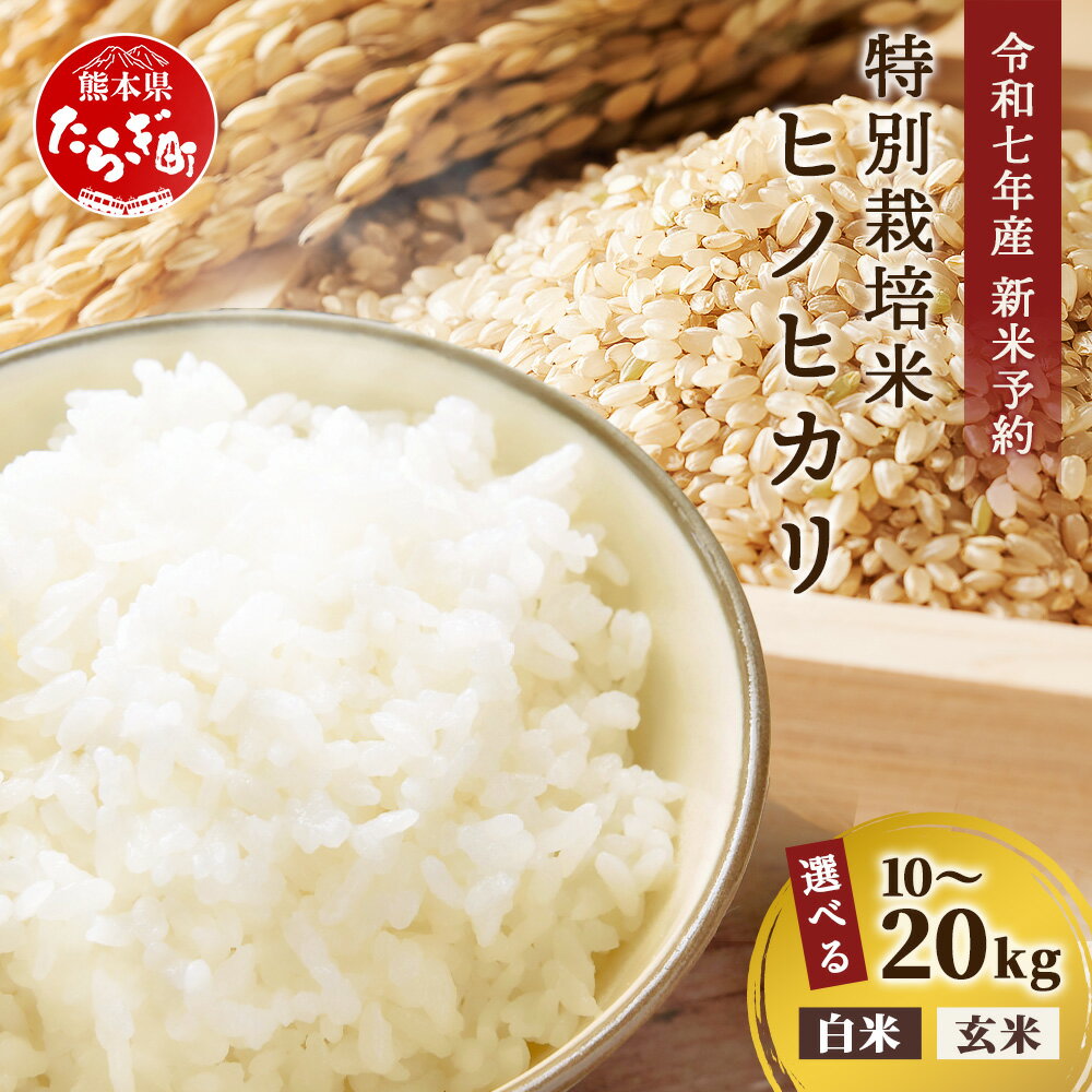 楽天市場】ヒノヒカリ 熊本 玄米 無農薬の通販 楽天市場】ヒノヒカリ 熊本 玄米 無農薬の通販