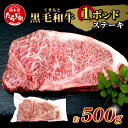 【ふるさと納税】【訳あり】くまもと黒毛和牛 《 1ポンド ステーキ 約500g 》 黒毛 和牛 赤身 霜降りブランド牛 ボリューム ステーキ お取り寄せ グルメ...