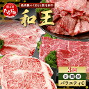 【ふるさと納税】《定期便3回》くまもと 黒毛和牛 (和王) バラエティ 定期便C 【合計2.02kg】 ブランド牛 定期便 肉 サーロイン ステーキ ロース モモ すき焼き しゃぶしゃぶ 焼肉 焼き肉 牛肉 2kg お肉 定期便 年末 年始 年内 プレミアム品質 冷凍 送料無料
