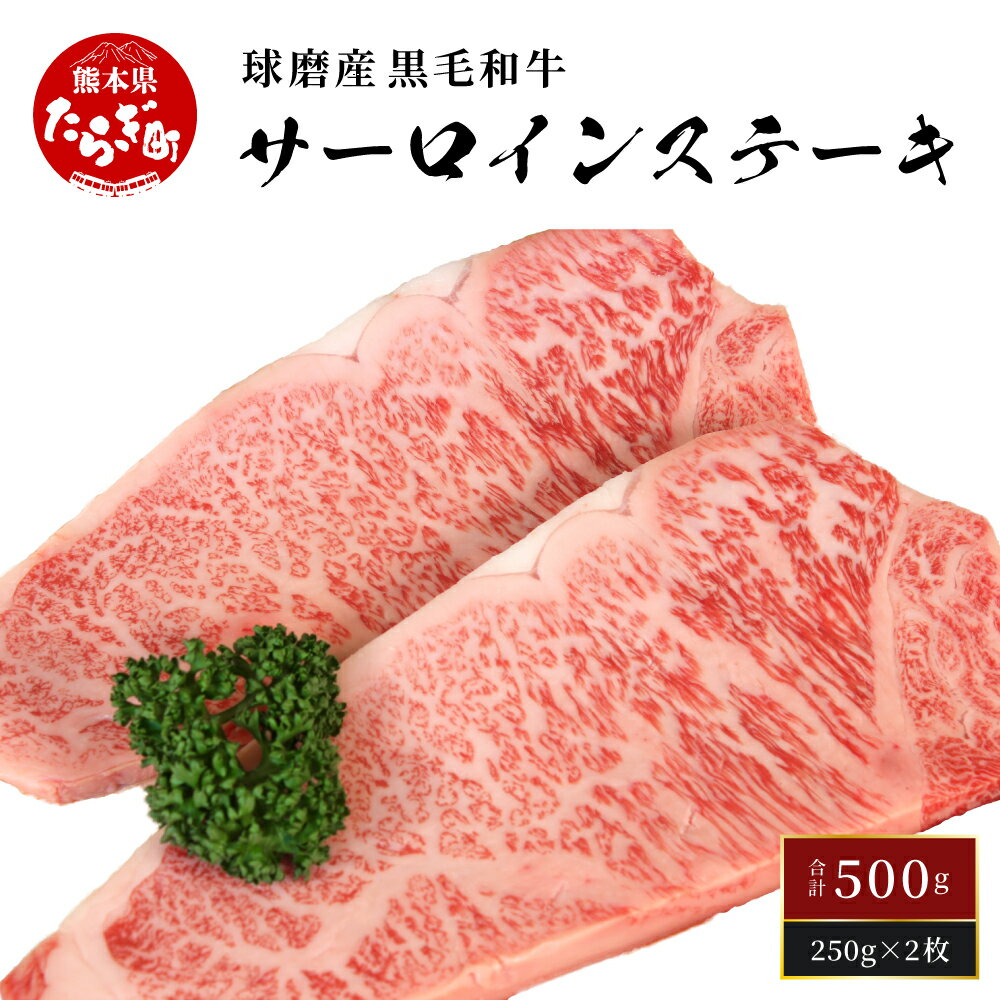 【発送時期が選べる】球磨産 黒毛和牛 サーロインステーキ500g ＜ 250g×2枚 ＞ サーロイン ステーキ 牛肉 選べる配送月 和牛 球磨 球磨郡 牛肉 肉 牛 国産 冷凍 熊本県 多良木町 送料無料