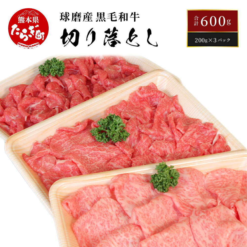 【発送時期が選べる】球磨産 黒毛和牛 切り落とし 計600g ＜200g×3パック＞ 選べる配送月 牛肉 和牛 国産 小分け 煮込み料理 切落し 肉 お肉 牛 冷凍 熊本県 多良木町 球磨 球磨郡 送料無料