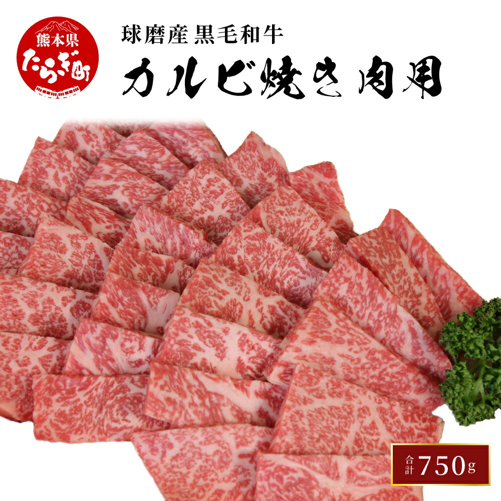 7位! 口コミ数「0件」評価「0」球磨産 黒毛和牛 カルビ焼き肉用 750g カルビ 焼き肉 焼肉 バラ肉 牛肉 かいの身 上質 脂 旨み 肉 お肉 和牛 国産 球磨 球磨郡･･･ 