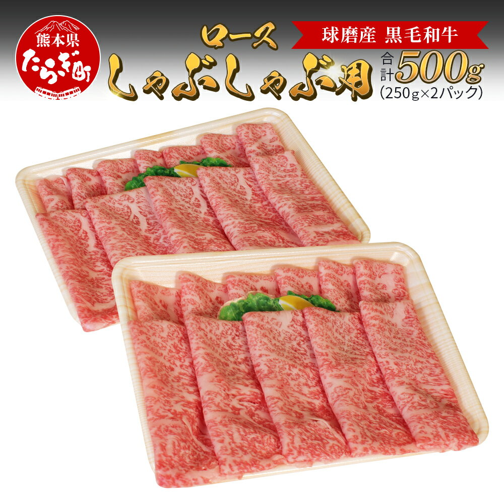 《発送時期が選べる》球磨産 黒毛和牛 ロースしゃぶしゃぶ用 500g 250g×2パック ロース しゃぶしゃぶ しゃぶしゃぶ用 鍋 スライス 牛肉 お肉 肉 和牛 国産 球磨 球磨郡 熊本県 多良木町 冷凍 送料無料