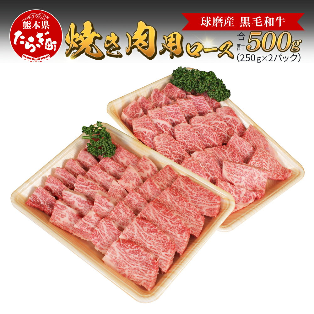 球磨産 黒毛和牛 ロース焼き肉用 計500g [250g×2パック] 小分け 焼き肉 焼肉 BBQ サーロイン スライス ロース 牛肉 お肉 肉 和牛 国産 球磨 球磨郡 熊本県 多良木町 冷凍 送料無料