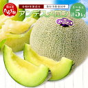 【ふるさと納税】《2026年発送分 先行予約》 アンデスメロン 合計5kg アンデス メロン 甘い 果物 フルーツ 果実 ジュージー 国産 熊本県産 熊本県 多...