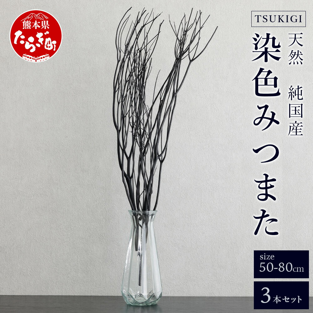 染色 TSUKIGI みつまた 3本 1セット 高さ50cm〜80cm インテリア オブジェ 枝 黒 ブラック モダン おしゃれ ドライフラワー スタイリッシュ モノトーン 和 天然 国産 槻木 多良木町 送料無料